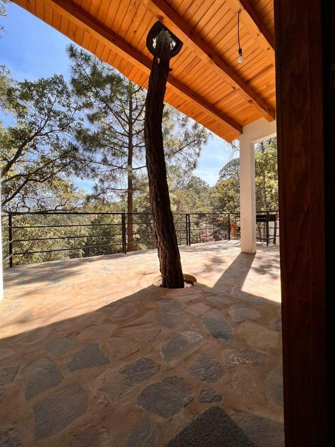 Cabana "Alexa", En El Corazon Del Bosque De Mazamitla Exterior foto