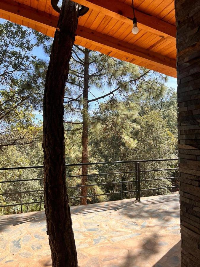 Cabana "Alexa", En El Corazon Del Bosque De Mazamitla Exterior foto