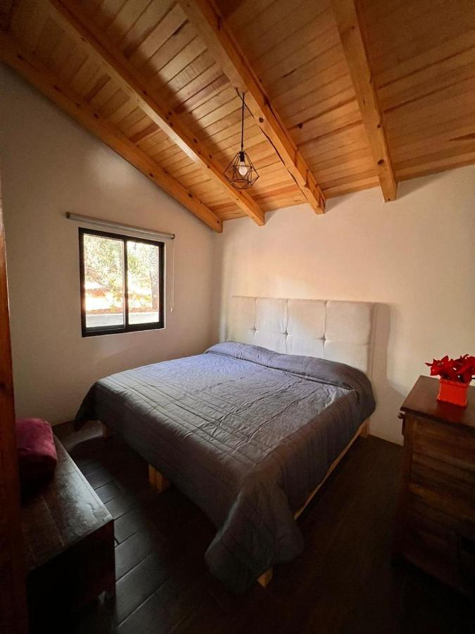 Cabana "Alexa", En El Corazon Del Bosque De Mazamitla Exterior foto